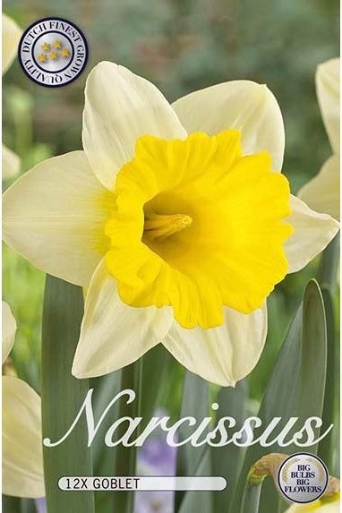 Narciss Goblet (ny) 12-pakning